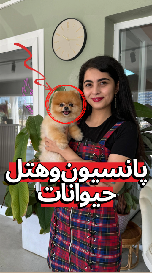 پانسیون و هتل حیوانات در قبرس